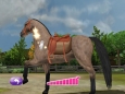 Pony Friends 2 (Wii) Игра для Nintendo Wii DVD-ROM, 2010 г Издатель: Eidos Interactive; Разработчик: Tantalus Interactive; Дистрибьютор: Новый Диск пластиковый DVD-BOX Что делать, если программа не запускается? инфо 149a.