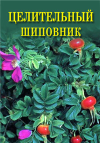 Целительный шиповник Произведения Пользователям осуществляется ООО "ЛитРес" инфо 8956h.